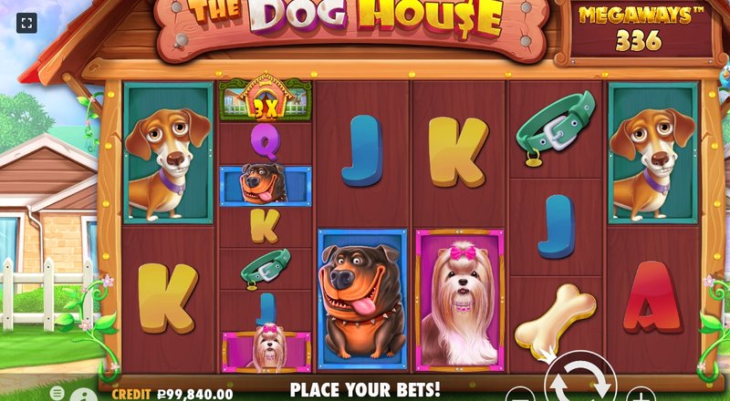A Complete Guide to The Dog House Megaways Slot