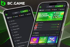 Memahami Verification dan KYC di BC Game Pentingnya untuk Pengguna